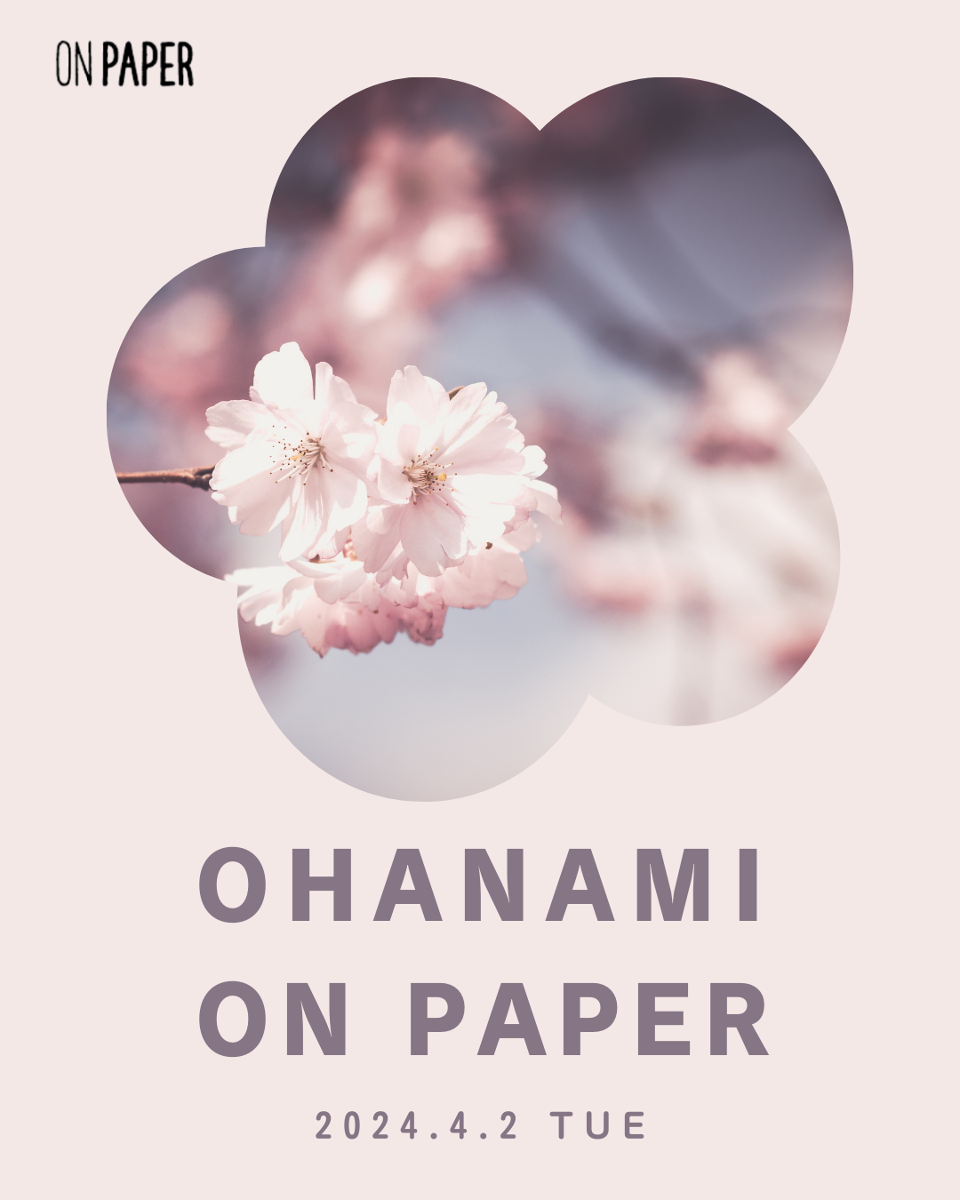 4/2（火）OHANAMI☆ON PAPER